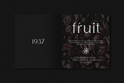 Gritlen, a Serif Font by OWL KING (Thumbnail 8 of 8)
