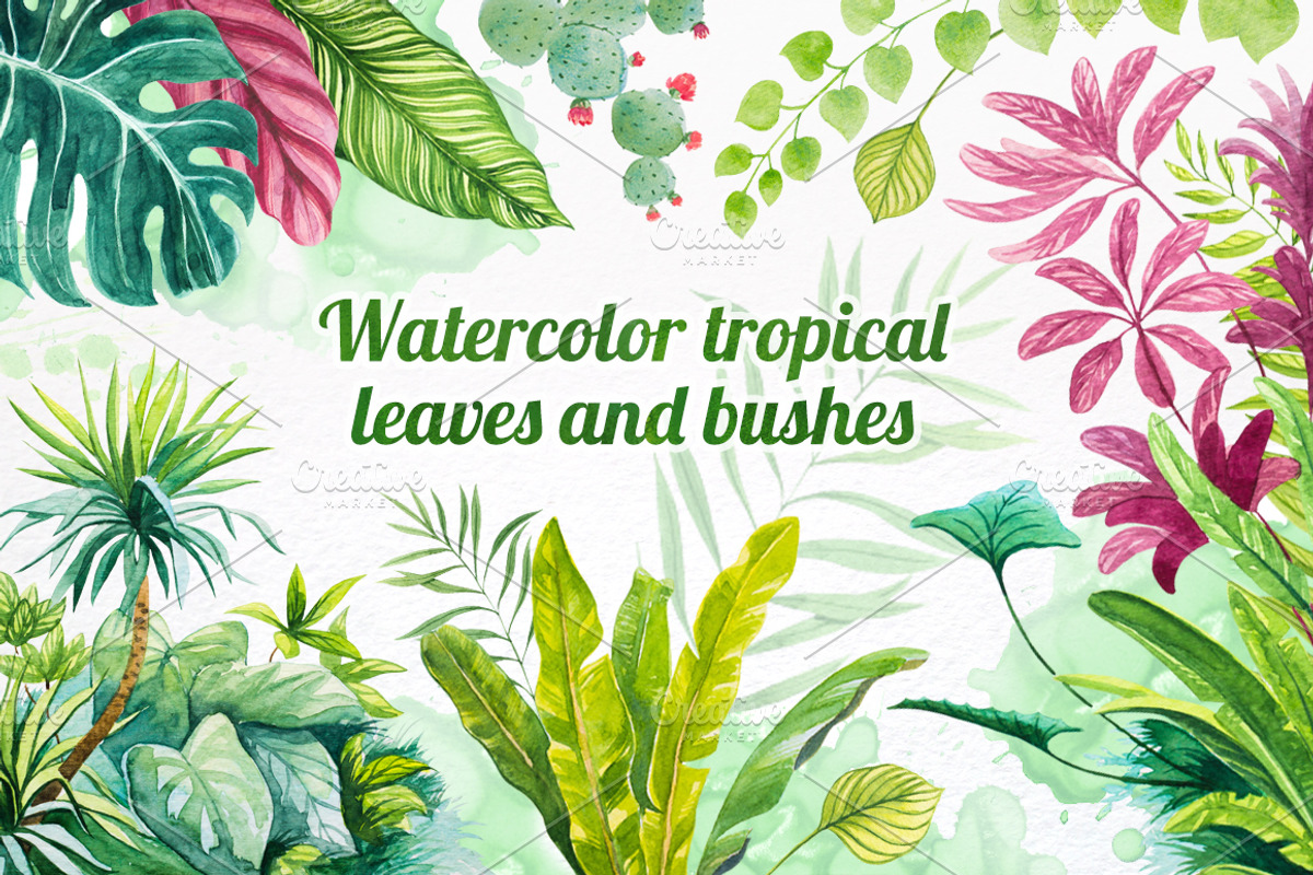 Watercolor tropical leaves set#2., a Decorative Illustration by AlexGreenArt (Photo 1 of 7)
