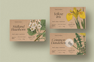 Olive And Figs - Regal Classic Serif