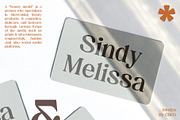 Jovelyn – Retro Font, a Serif Font by Craft Supply Co. (Thumbnail 5 of 7)