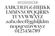 Kiltier | High Contrast Serif, a Serif Font by Jolicia Type (Thumbnail 7 of 22)