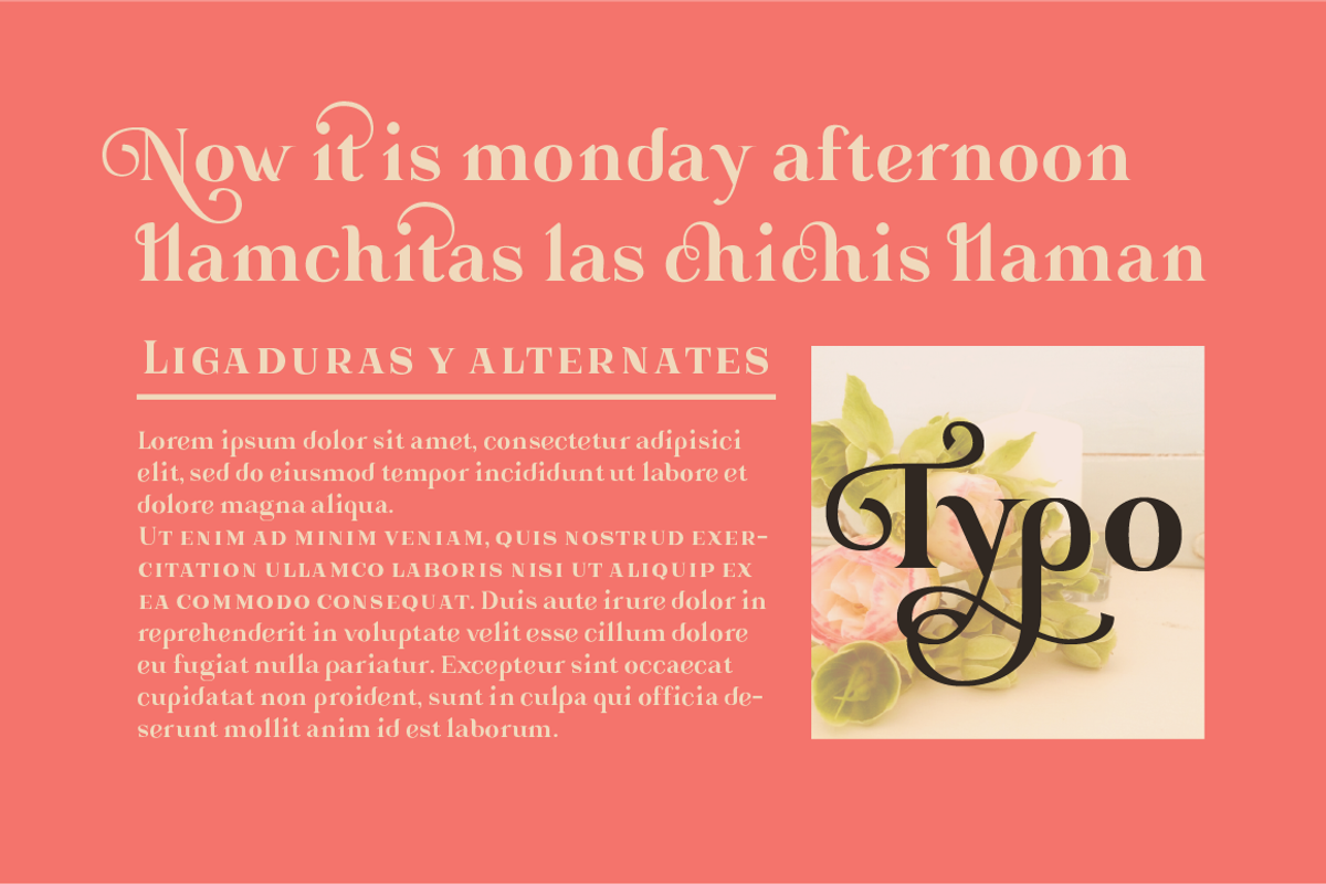 Gorni typeface, a Serif Font by MaGo (Photo 6 of 10)