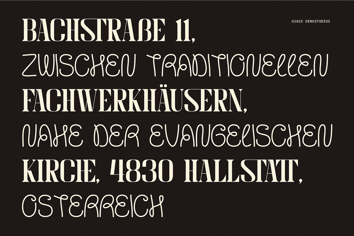 Meciera | Combination Serif, a Serif Font by Denustudios (Photo 6 of 13)