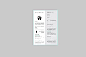 Plush Resume Designer