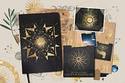 1300+ Aphrodites Astery Bundle, an Object Illustration by Chikovnaya (Thumbnail 20 of 20)