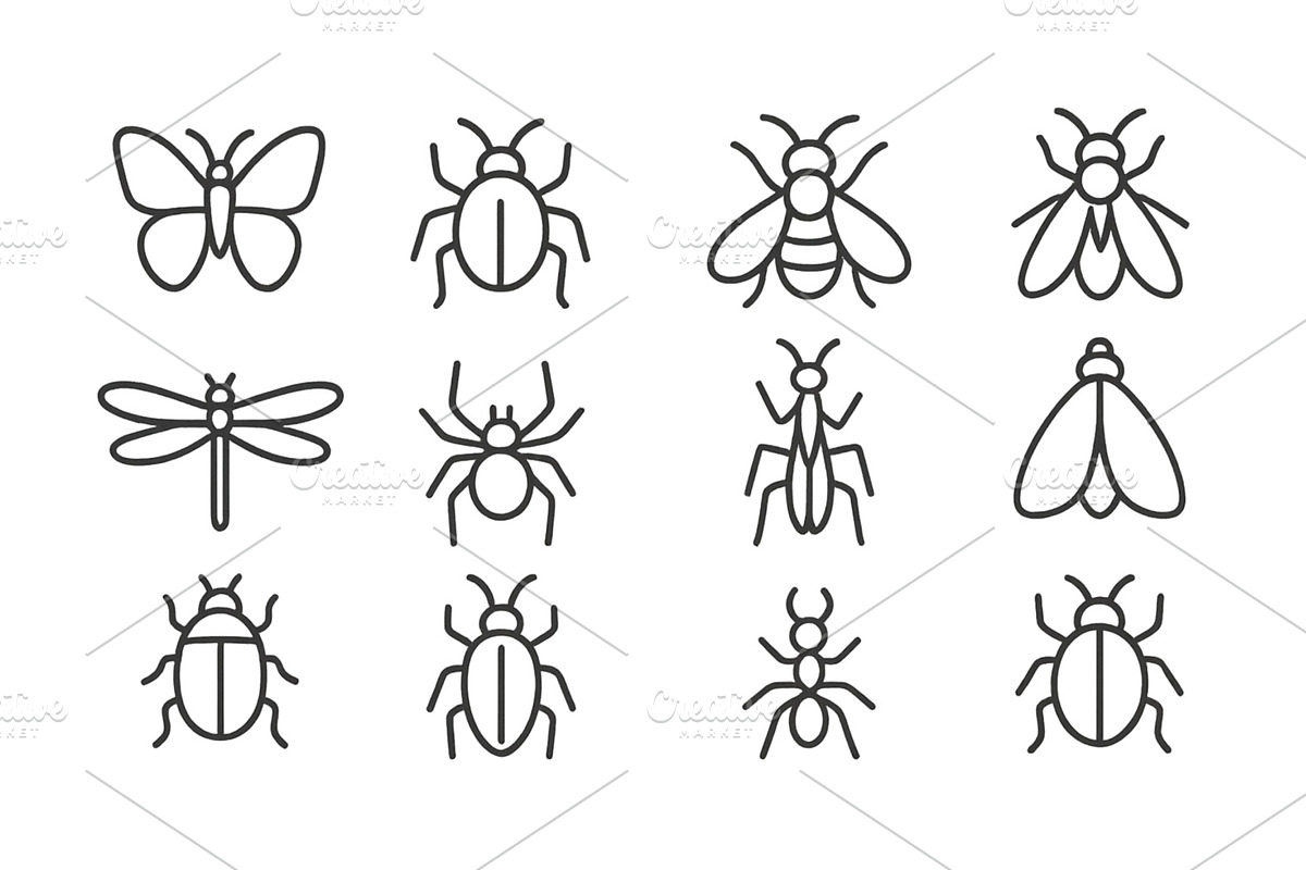 Collection of line art insects, an Animal Illustration by ZinetroN