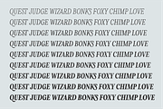 Levino Font Family, a Font by Punch (Thumbnail 7 of 10)