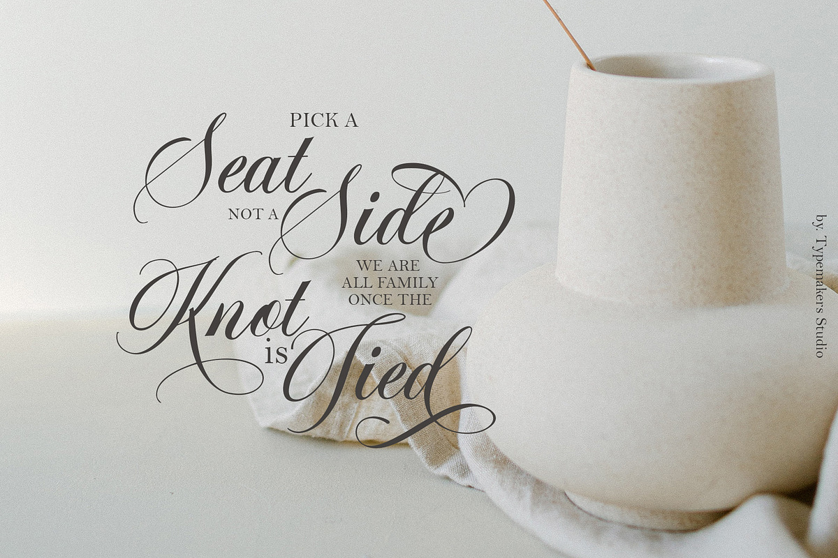 Merline Script, a Script Font by TypeMakers (Photo 5 of 12)