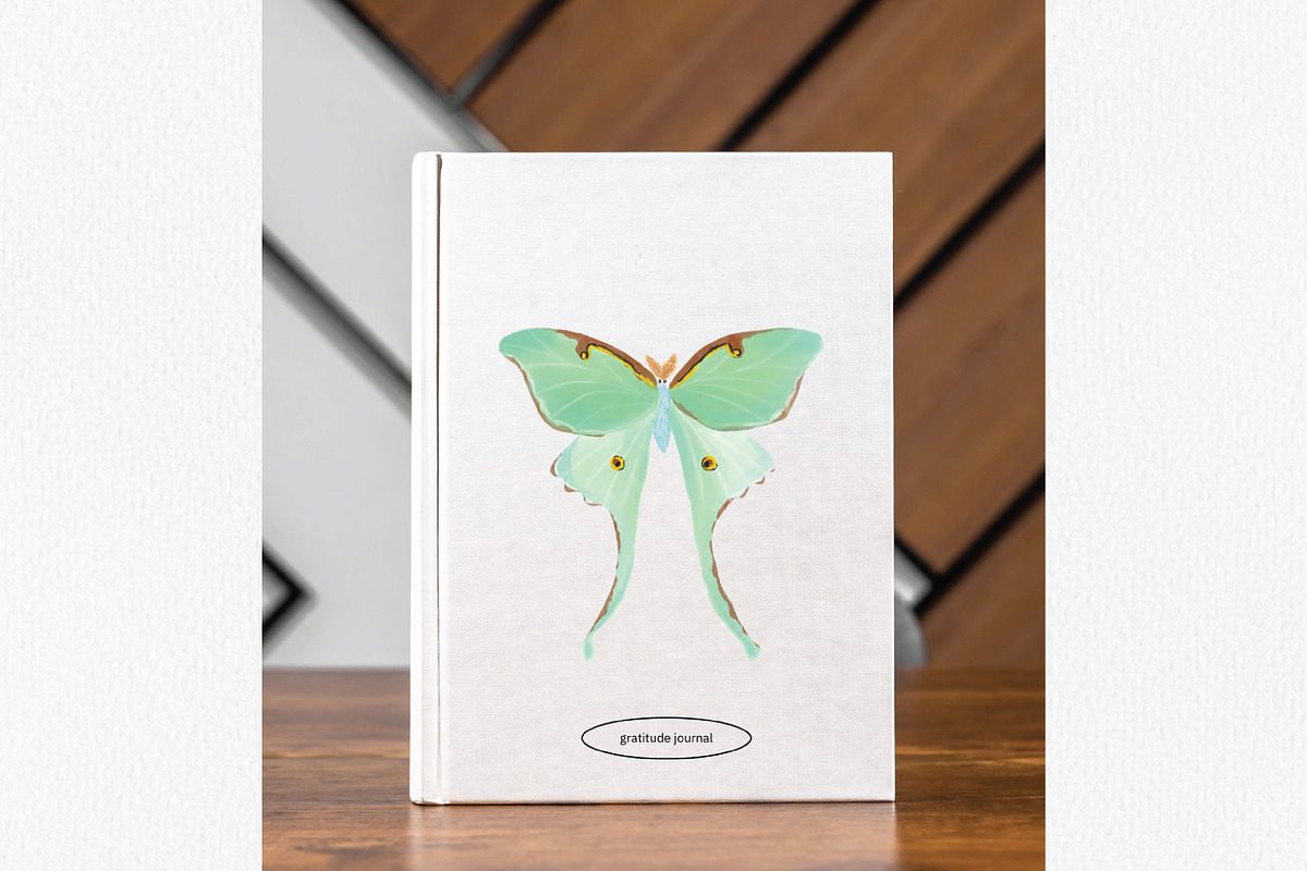 Watercolor Insects, an Animal Illustration by Stacey Shaller (Photo 6 of 6)