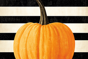 Vintage orange pumpkin on a black, a Food & Drink Photo by MistyDay