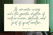 Peglastone Handwritten Ink Font, a Script Font by Letterena Studios Script (Thumbnail 12 of 20)