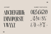 FROLES Modern Serif Font, a Serif Font by Alfinart (Thumbnail 6 of 9)