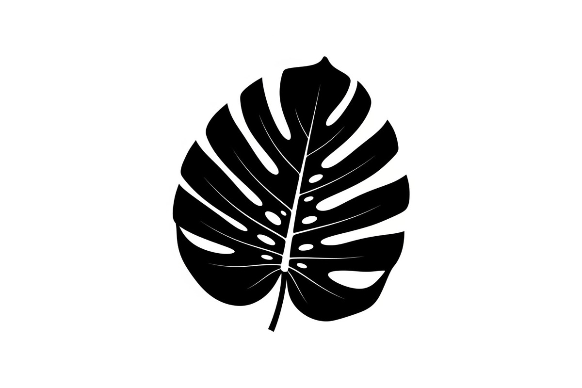 Monstera Leaf Silhouette Bundle, an Illustration by yasushie (Photo 16 of 31)