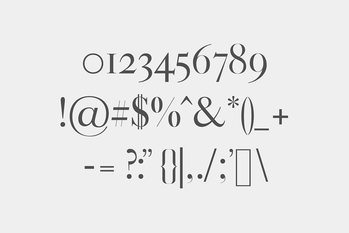 Gunma Serif Font Family preview 3