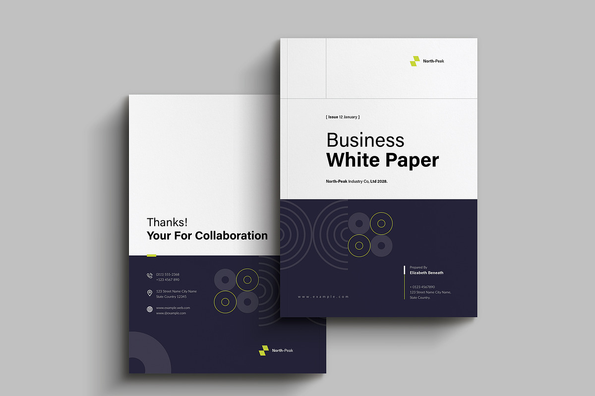White Paper Template, a Brochure Template by NorthPeak (Photo 3 of 13)