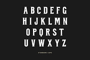 BARBER - Vintage Serif, a Serif Font by Creative Type (Thumbnail 5 of 6)