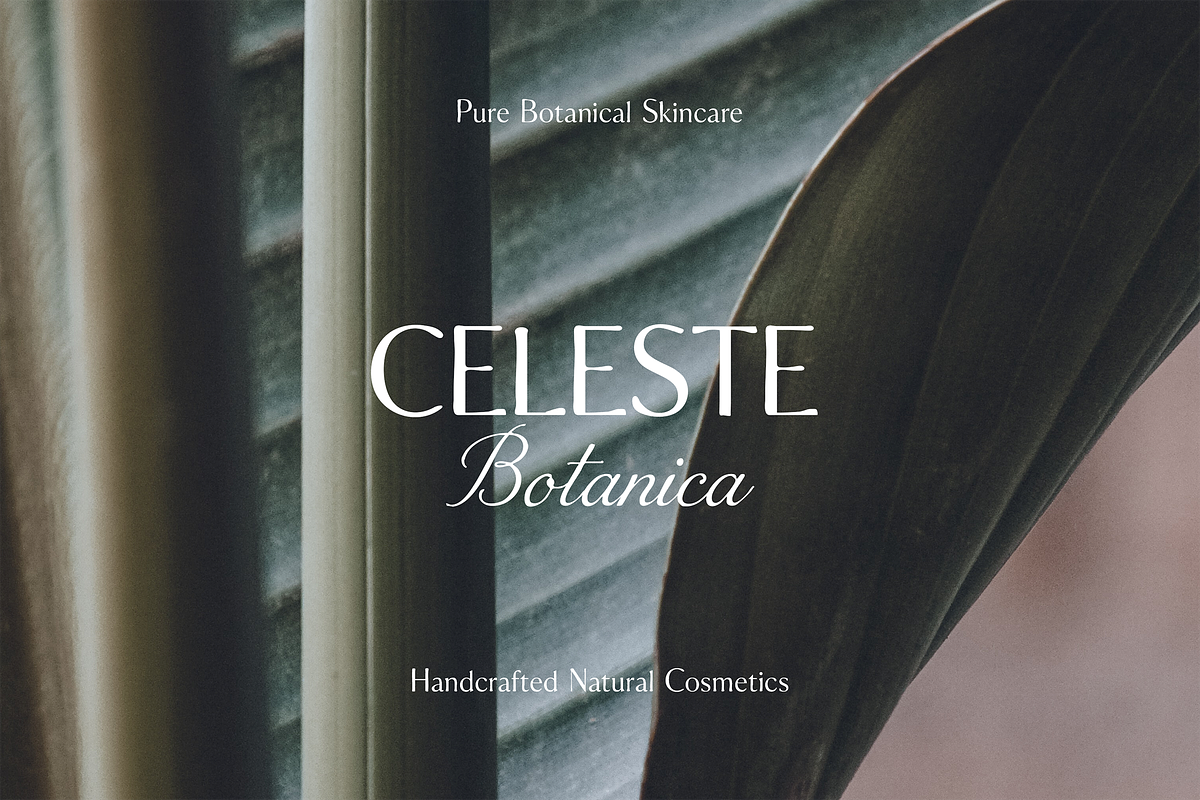 Celeste Art — Elegant Serif & Script, a Script Font by gafaroff studio (Photo 5 of 12)