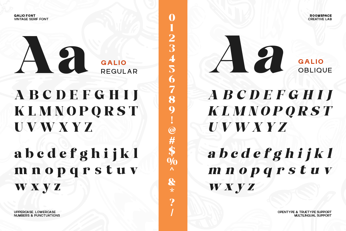 Galio Vintage Elegant Serif Display, a Serif Font by roomspace creative lab (Photo 10 of 10)