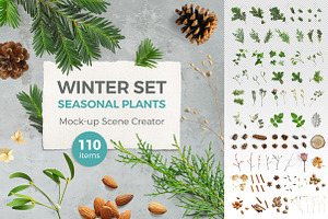 WINTER PLANTS | Scene Creator