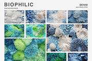 80 Biophilic backgrounds, a Background Graphic by Polli Deeva (Thumbnail 10 of 16)
