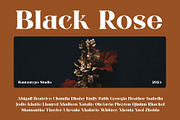 Frenia Modern Serif Typeface, a Serif Font by RantautypeStudio (Thumbnail 11 of 15)