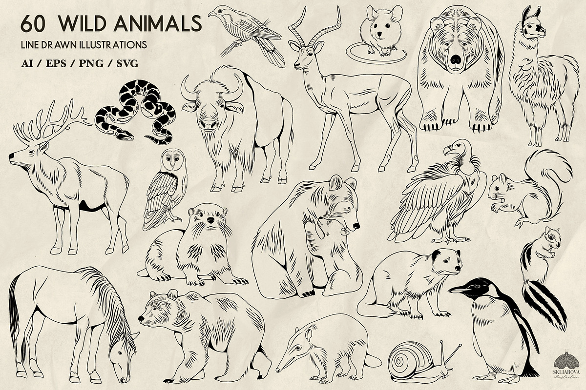 Wild Animals Line Art + Procreate, an Animal Illustration by Skliarova (Photo 3 of 4)