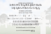 Cemetery | Script Font, a Handwritten Font by Scratchones (Thumbnail 7 of 9)