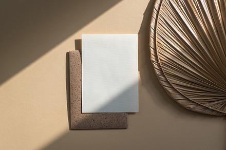 White Canvases preview 4