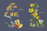 Vintage Flowers Vol.01 - Extra Large, an Illustration by Greta Ivy (Thumbnail 14 of 18)