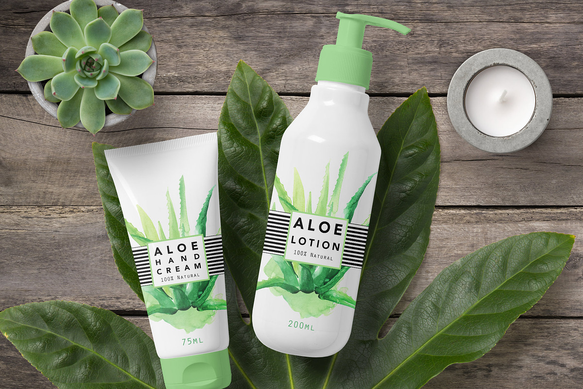 Fresh Watercolor Aloe Vera Set, a Healthcare Illustration by beehouse studio (Photo 6 of 9)
