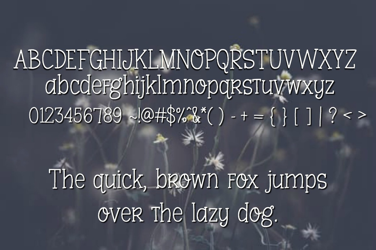 Sarasota-Handwritten Font preview 2