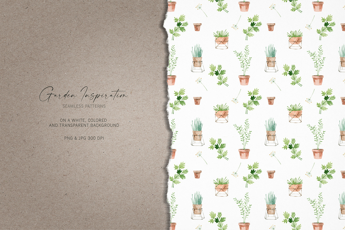 Garden Inspiration, an Illustration by svetsum (Photo 5 of 8)