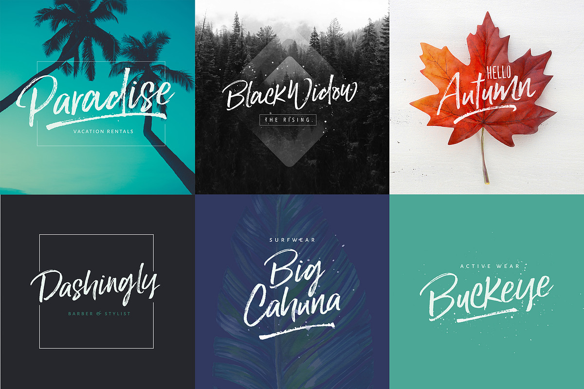 Lucky Fellas Brush Script + Extras, a Script Font by Nicky Laatz (Photo 10 of 16)
