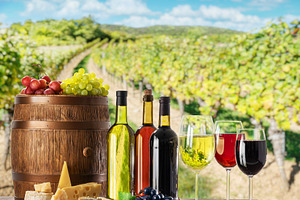 Wine still-life. Bottles of wine, a Food & Drink Photo by Volff
