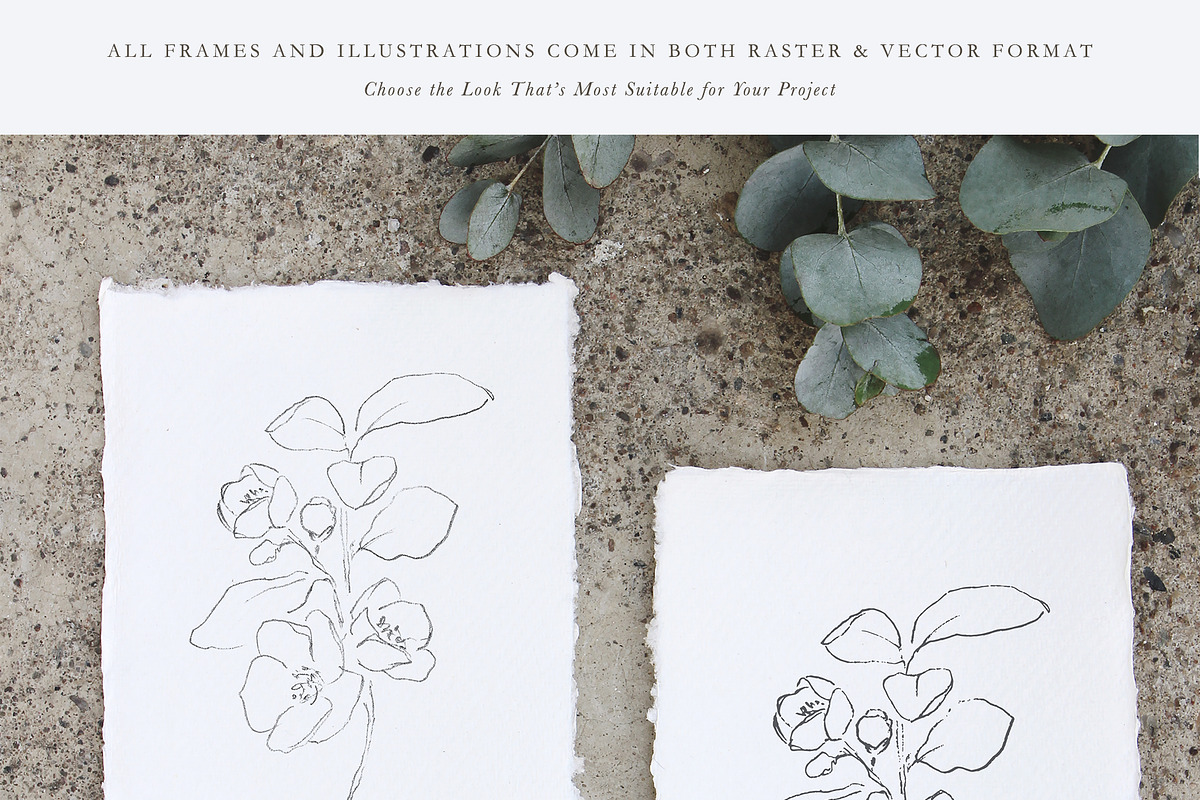 Linger - Fine Art Florals & Textures, a Texture Illustration by Greta Ivy (Photo 9 of 9)