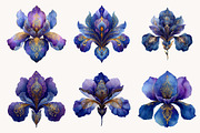Iris Paisley Clipart Bundle, a Seasonal Illustration by Designworld (Thumbnail 6 of 10)