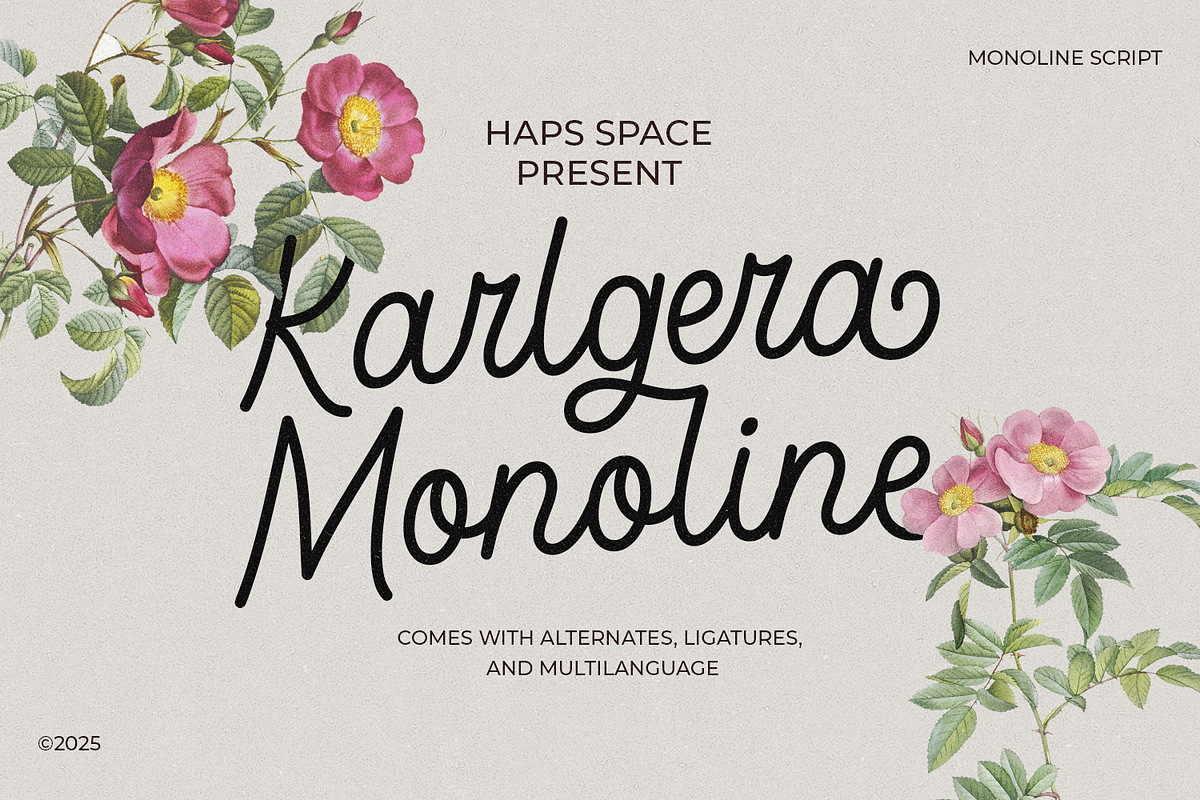 Karlgera - Monoline Script, a Script Font by Haps Space (Photo 1 of 10)