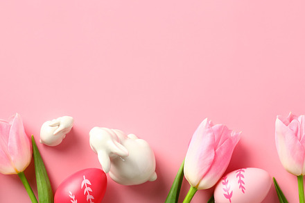 Happy Easter banner design with tulips, Easter eggs, decorative bunnies on pink