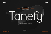 Tanefy - Modern Font, a Sans Serif Font by Viswal Studio (Thumbnail 1 of 8)
