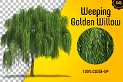 CUT OUT TREES - 60 PCS BUNDLE, a Packaging Mockup by 3DSTORE (Thumbnail 46 of 63)