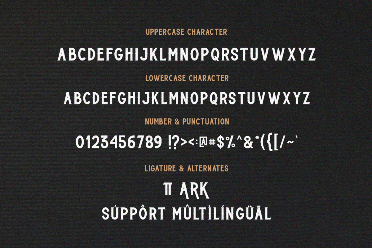 ROTTERHAM - VINTAGE FONT, a Sans Serif Font by Bluestype Studio (Photo 6 of 7)