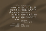 Raglien Modern Serif Font, a Serif Font by Perfectype (Thumbnail 8 of 8)