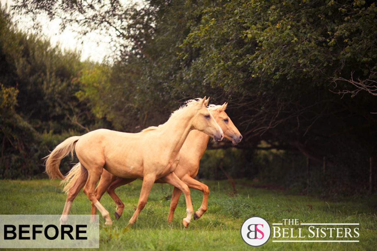 53 Sunflares Photoshop Overlays, a Layer Style Add-On by The Bell Sisters (Photo 3 of 9)
