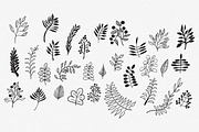 Hand Drawn Vector Leaves & Branches, an Illustration by Hello Brio (Thumbnail 2 of 5)