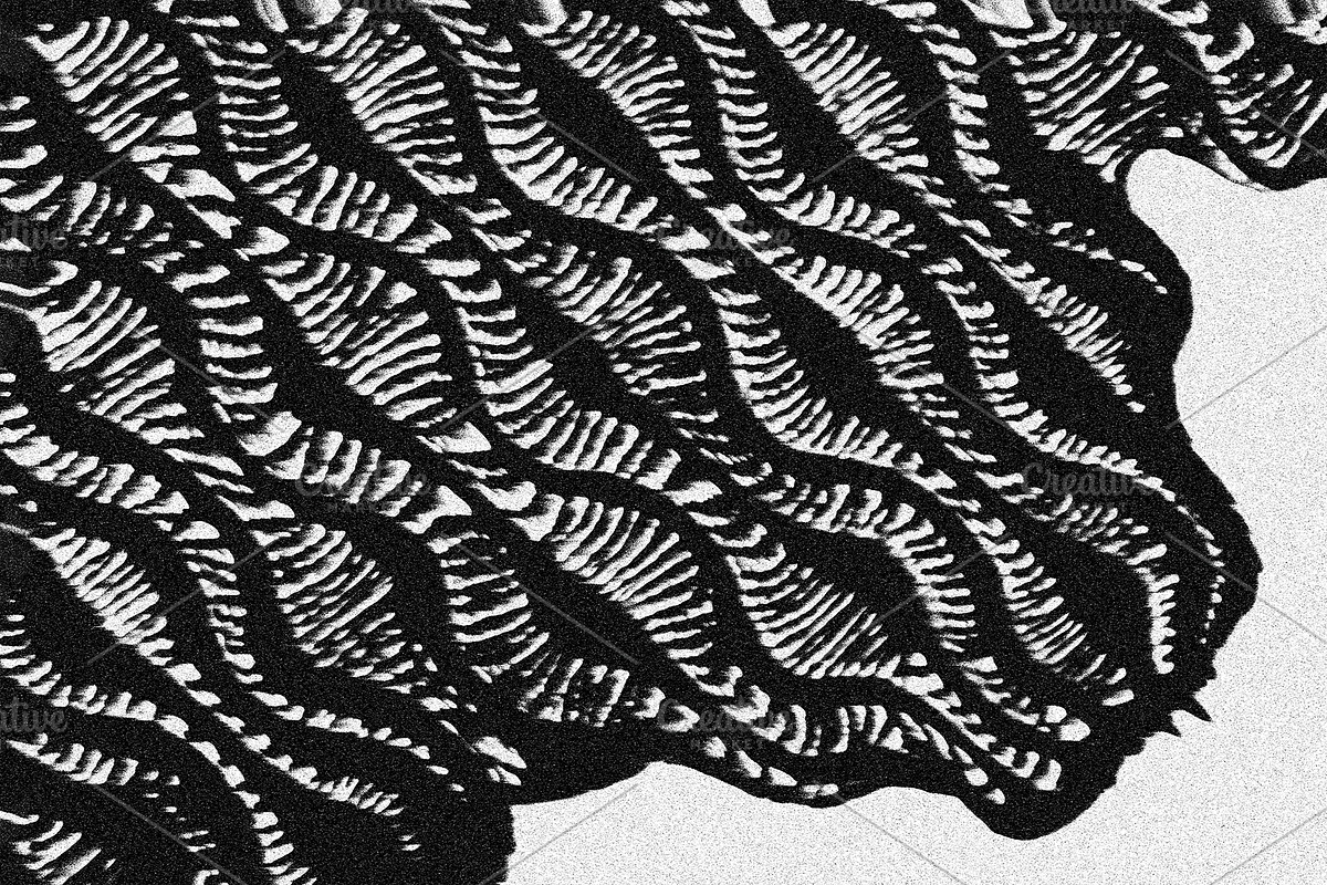 Scales and Fur, a Texture Graphic by Jennifer Lauren Creative (Photo 23 of 26)
