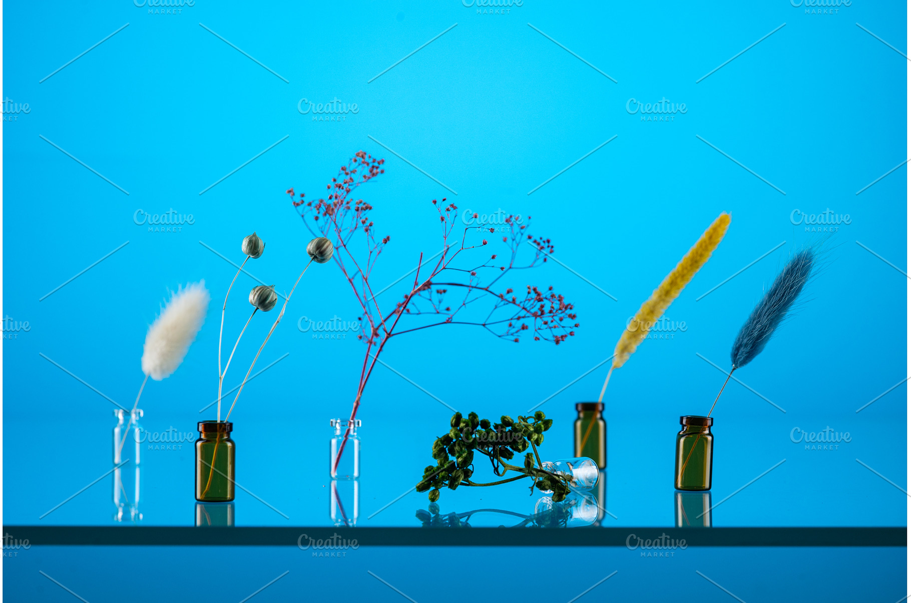 Photo of minimalist plants in, an Abstract Photo by Stockphoto by vzwer