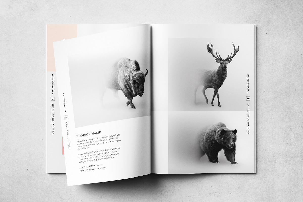 Portfolio Layout, a Print Template by Grkic Creative (Photo 6 of 15)
