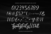 Heathens - Signature Handwritten Fon, a Handwritten Font by Flawless And Co (Thumbnail 8 of 10)