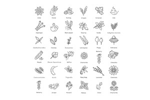 Condiment and herbs icons set, a Food Illustration by Tettygreen