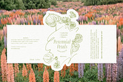 New Perennial Garden Wedding, a Decorative Illustration by divanovskaya_nv (Thumbnail 23 of 27)